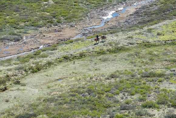 A horse outfitter rides back along the Ram River.