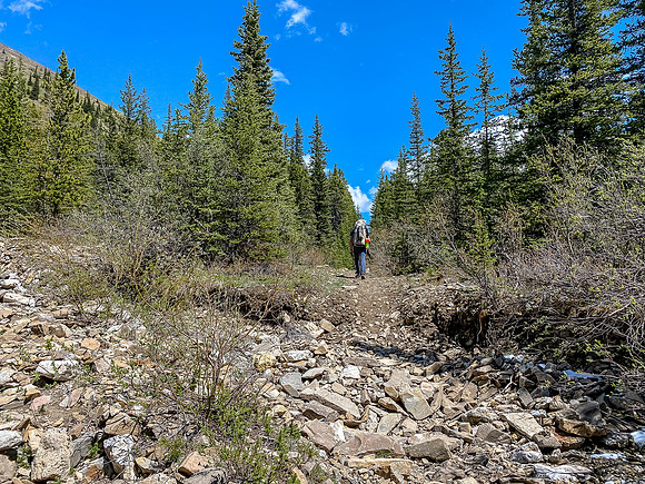 Hiking back down the Ram River Trail.