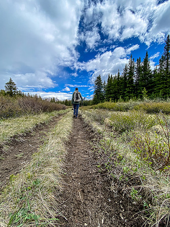 Hiking the South Ram River Trail back to camp.