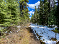 Hiking back down the Ram River Trail.