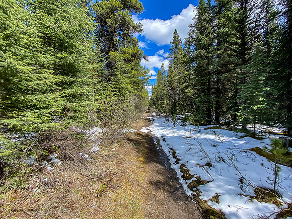 Hiking back down the Ram River Trail.