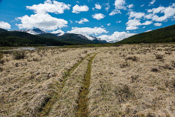 Hiking back through open meadows along the South Ram River Trail.