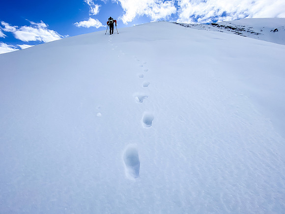 Endless snow slopes with crusty snow. In runners. Good times.