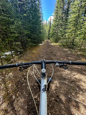 Biking down the South Ram River Trail.