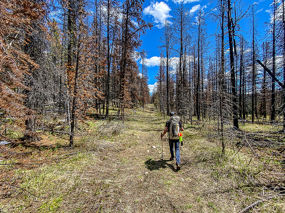Hiking towards H7 on the South Ram River Trail.