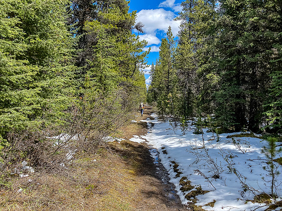 Hiking back down the Ram River Trail.
