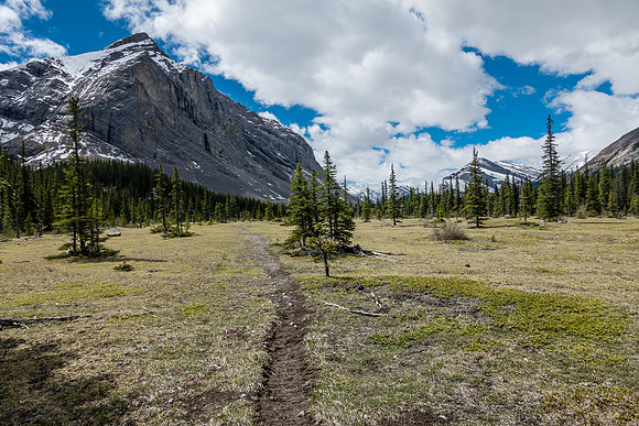 Views up the South Ram River Trail to Dormouse Peak (R).