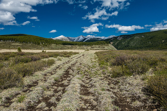 Hiking back through open meadows along the South Ram River Trail.