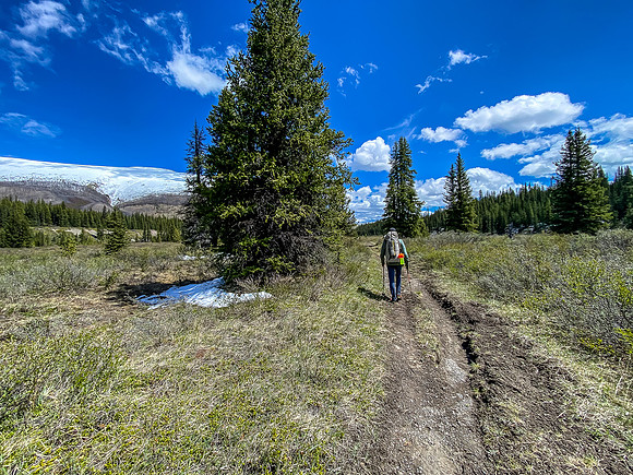 Hiking the South Ram River Trail back down river.