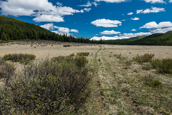 Hiking back through open meadows along the South Ram River Trail.