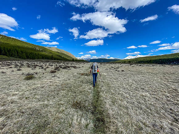 Hiking back through open meadows along the South Ram River Trail.