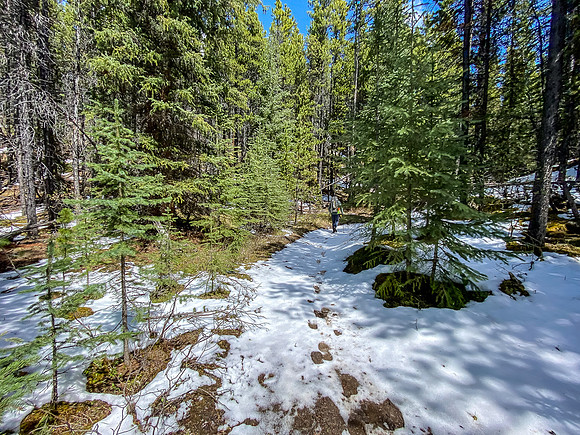 Hiking towards H7 on the South Ram River Trail.