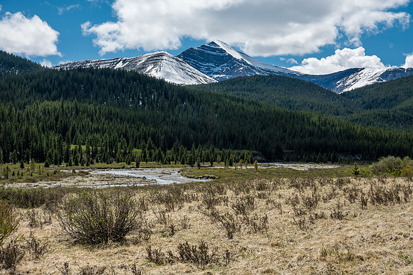 Views back to Whelk Peak.