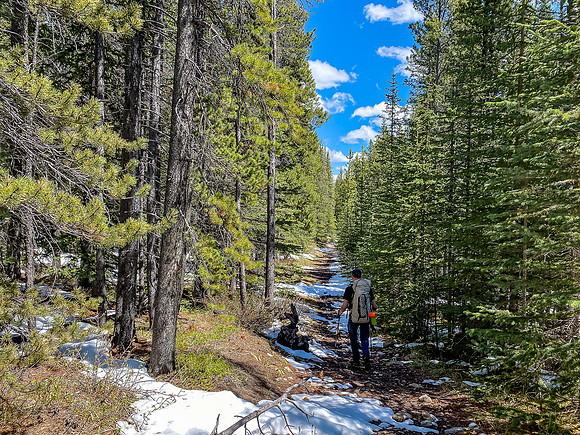 Hiking back down the Ram River Trail.