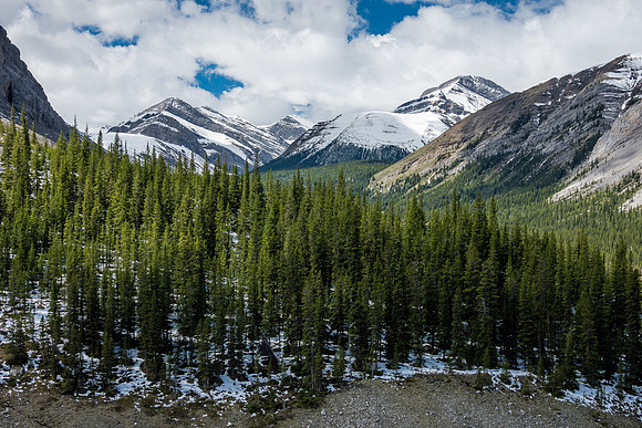 Dormouse (L) and Dodo Peak (R).