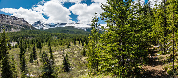 Views back to Whelk Peak.