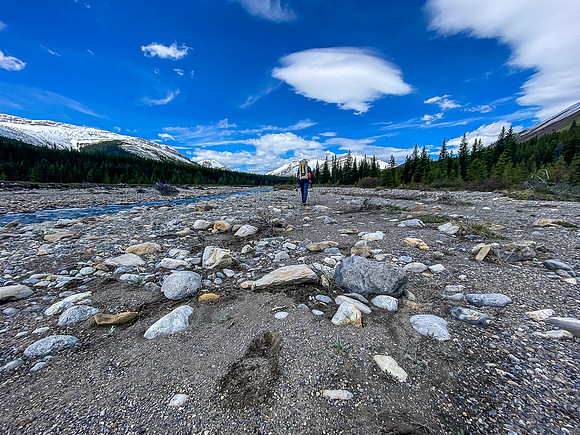 Hiking the Ram River flats.