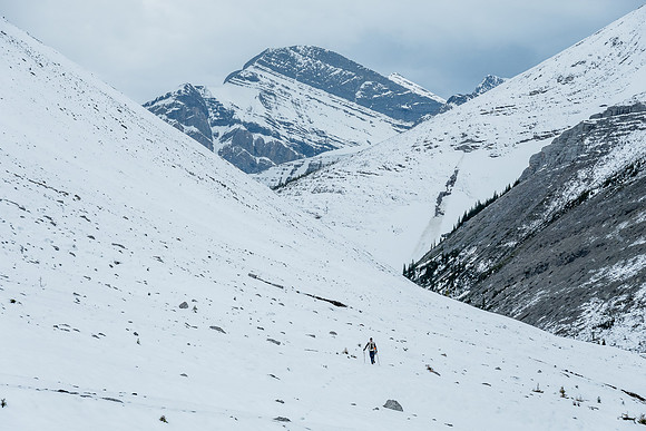 Descending the SE bowl between Wingnut and Canary Peak.