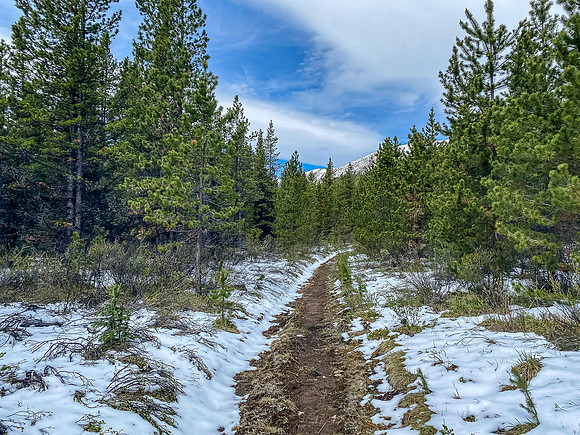 Hiking in fresh snow up the South Ram River Trail.