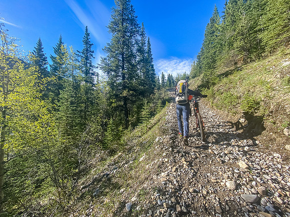 Pushing our bikes up the South Ram River Trail.