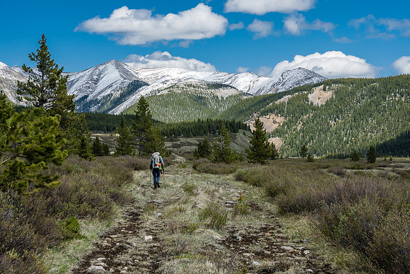 Hiking back through open meadows along the South Ram River Trail.