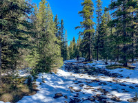 Biking in fresh snow on the South Ram River Trail.