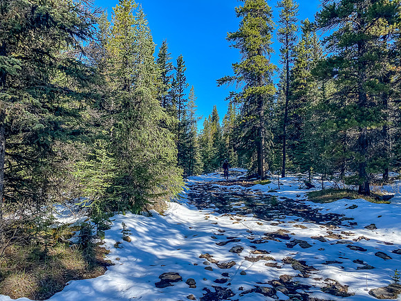 Biking in fresh snow on the South Ram River Trail.