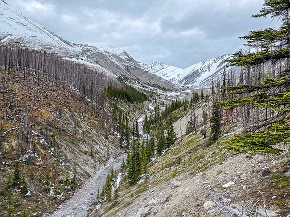 A view back up the SE access valley.