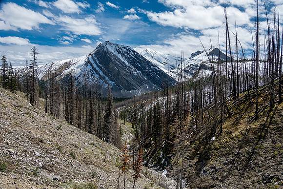 Views back down the gully towards Whelk Peak.