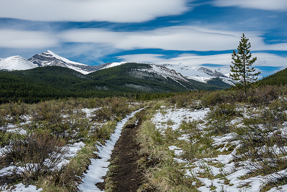 Hiking in fresh snow up the South Ram River Trail. Whelk Peak at left.