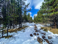 Hiking in fresh snow up the South Ram River Trail.