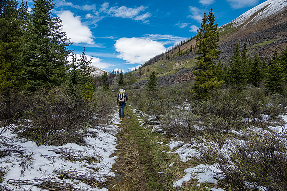 Hiking in fresh snow up the South Ram River Trail. Whelk Peak at distant right.