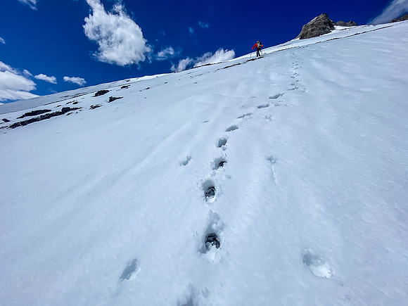 Wietse breaks trail up the SE slopes of Wingnut Peak.