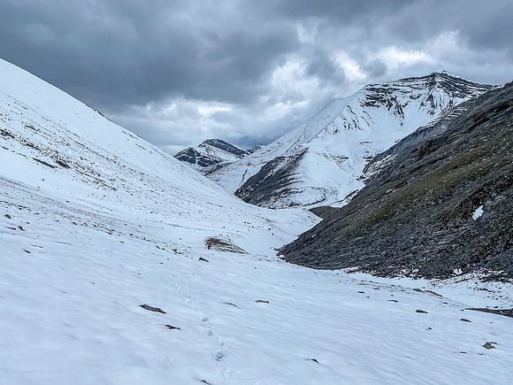 Descending the SE bowl between Wingnut and Canary Peak.