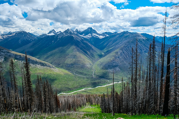 Descending back to the avalanche path.