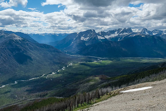 Descending back to the avalanche path.