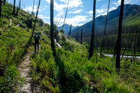 Hiking the Simpson River Trail.