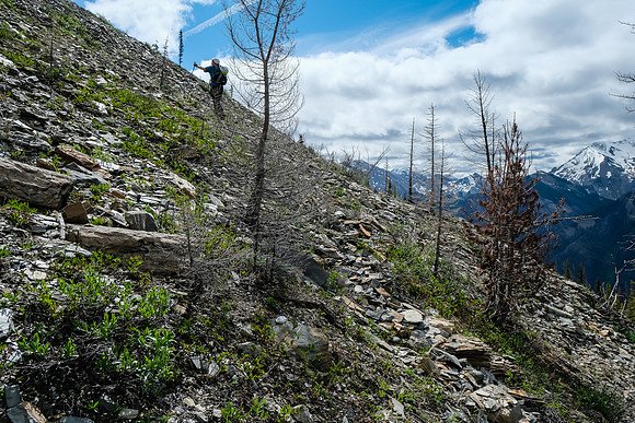 Ascending past the avy gully.