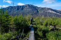 A nice plank walk on the Simpson River Trail.