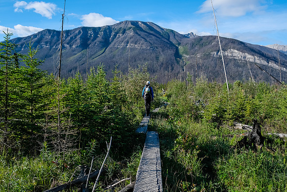A nice plank walk on the Simpson River Trail.
