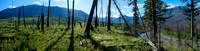Hiking the Simpson River Trail.