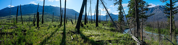 Hiking the Simpson River Trail.