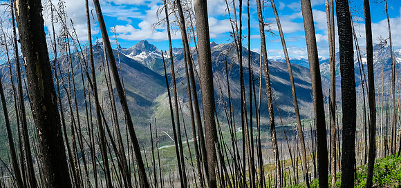 Views back down the burn.