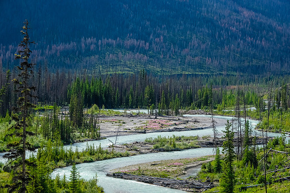 The lovely Simpson River.