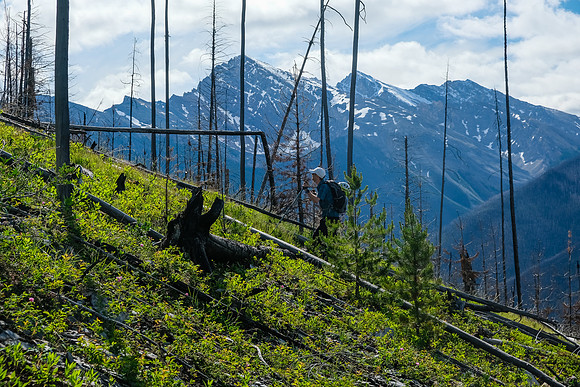 Indian Peak through the burn.