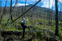 Ascending the south end of Mount Shanks through the open burn.