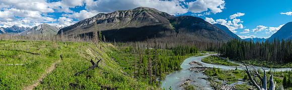 The lovely Simpson River.