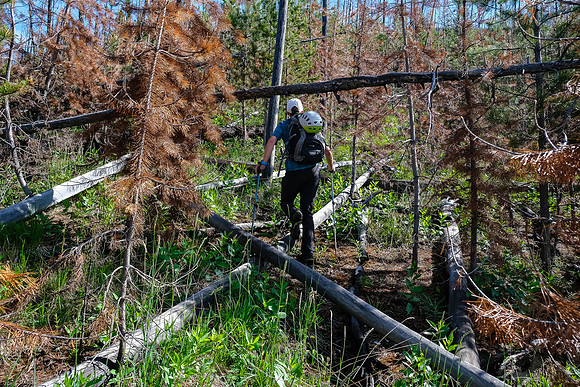 Some bushwhacking required.