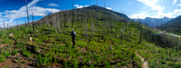 Leaving the Simpson River Trail, hiking up to the south end of Mount Shanks / Hawk Ridge.