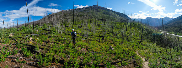 Leaving the Simpson River Trail, hiking up to the south end of Mount Shanks / Hawk Ridge.